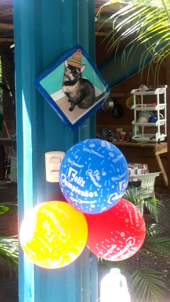 Snapchat-20140724014754