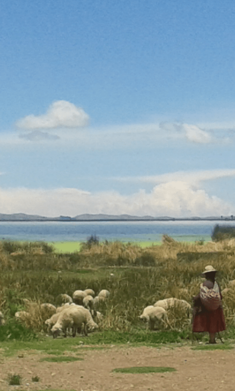 Screenshot_2014-11-01-19-40-48