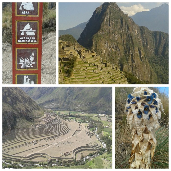 Fotor_142661185709643