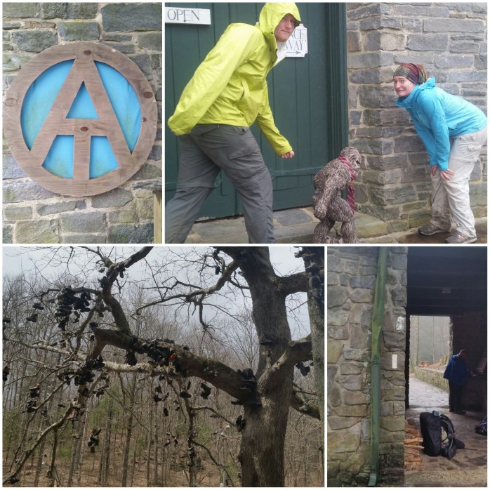 Fotor_142737933404824