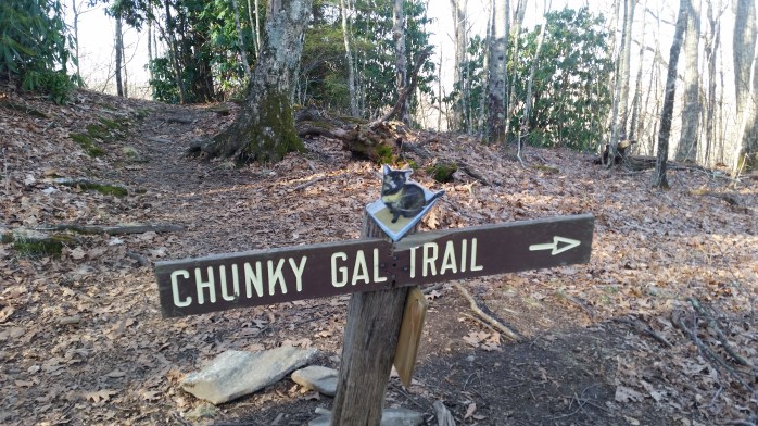 Fat cats are the best cats <3