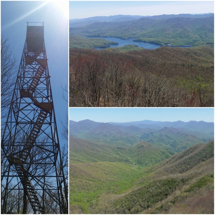 Views from the firetower