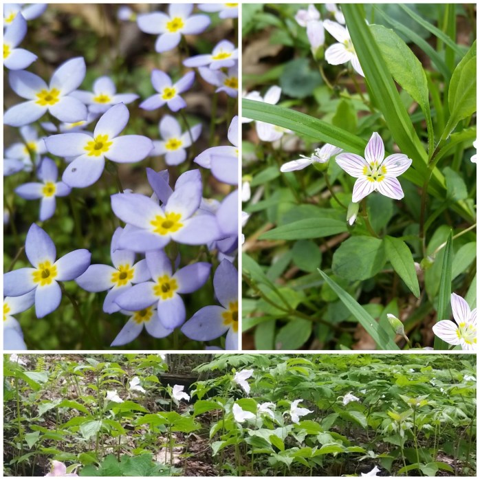 Spring has sprung!!!