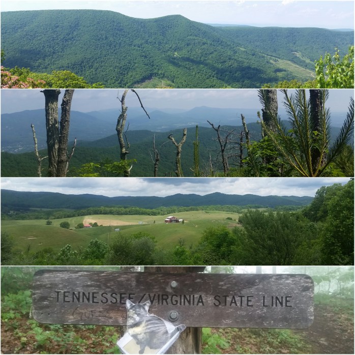 ...not what I would call flat.