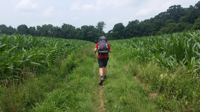 There's no place like home...