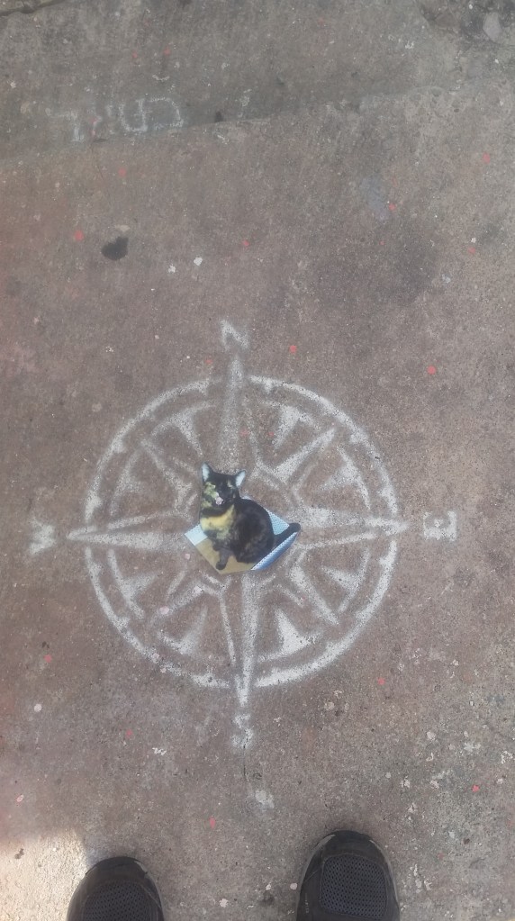 Dream out loud and make no sound. Find your cloud and ride it round. -Papadosio Happiest of #caturday s to you!!