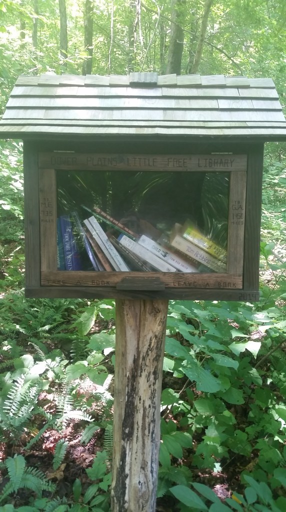 I thought these were the cutest