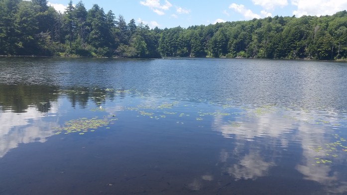 Happy for a day without rain! 