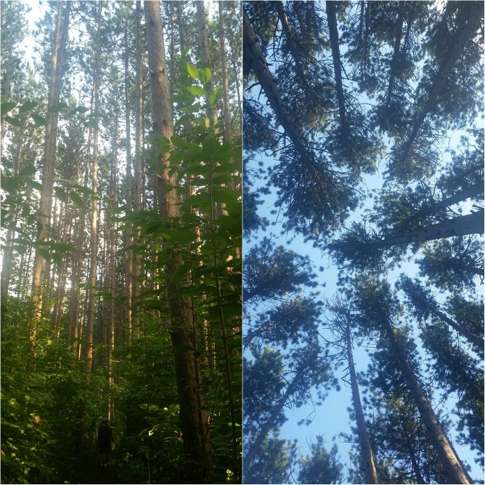 Fotor_144840338456687