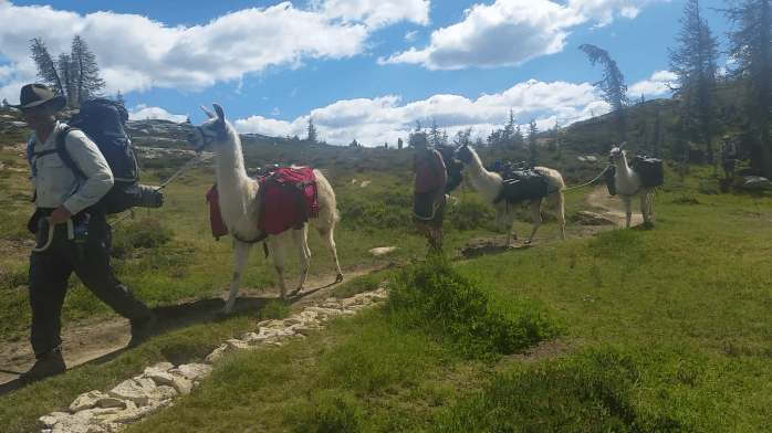 Screenshot_2016-08-31-12-34-43