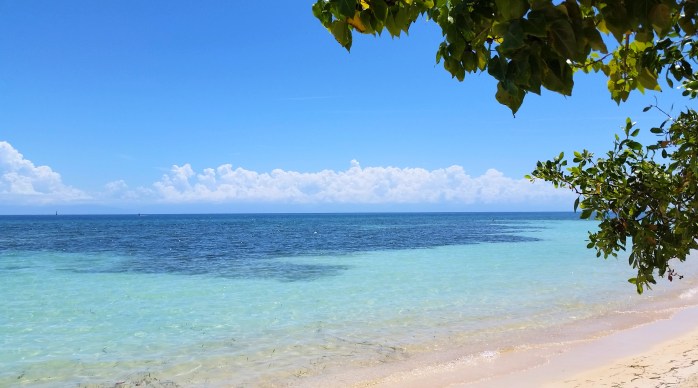 20170313_120948_Fotor