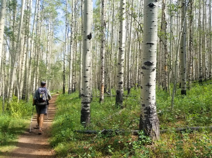 Fotor_149996015576530