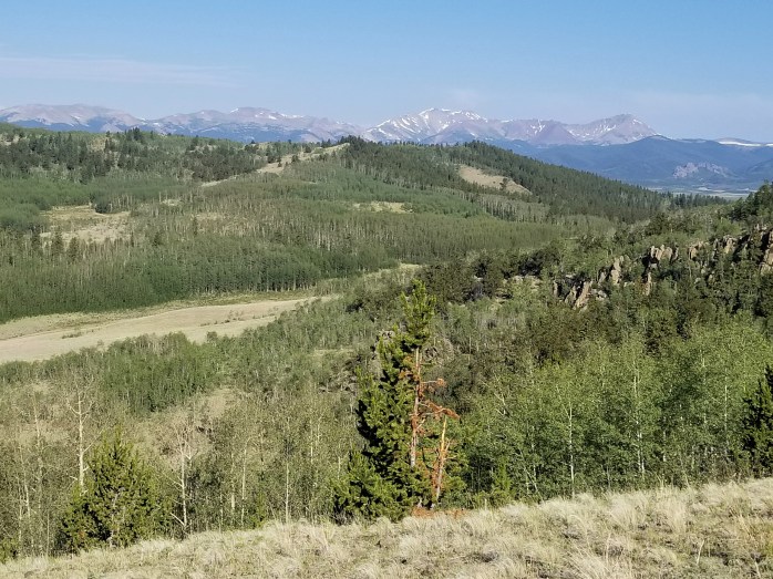 Fotor_149996135000659