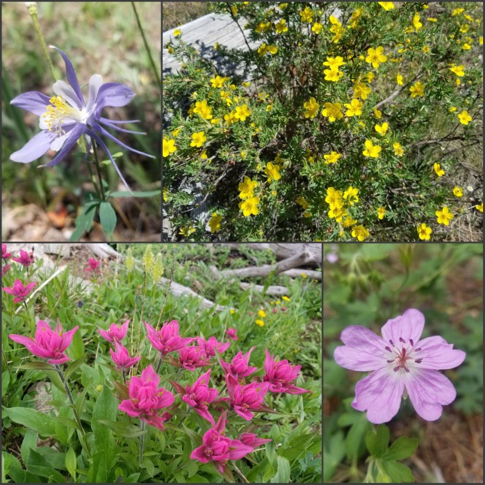 Fotor_150064522166777