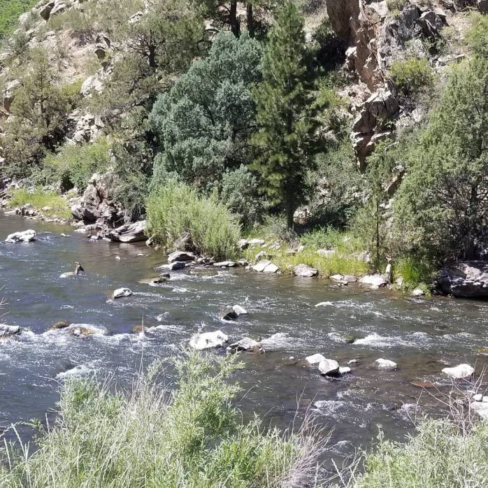 IMG_20170707_092417_031