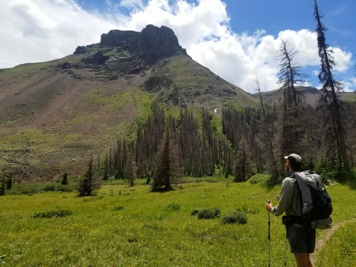 Fotor_150196714709764