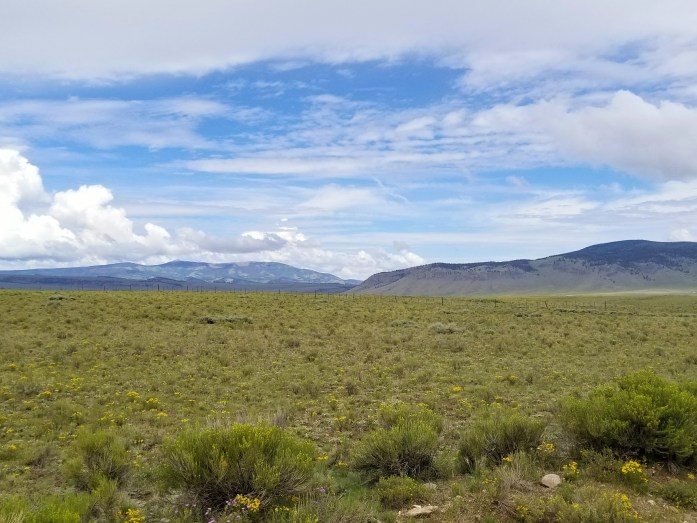 Fotor_150198695381040