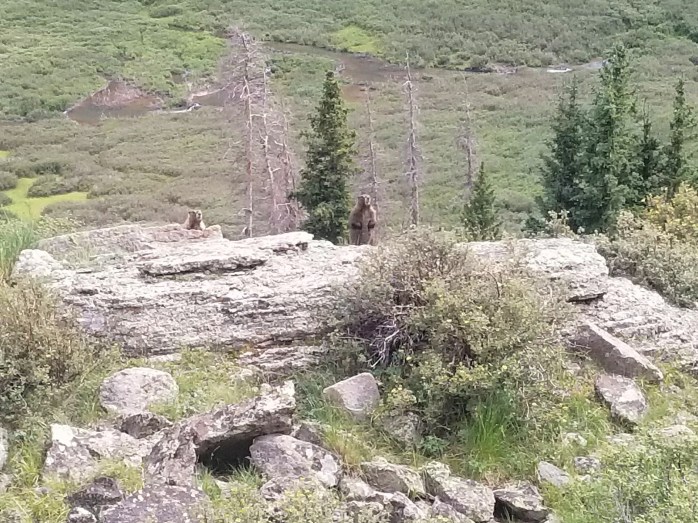 Fotor_150199426561254