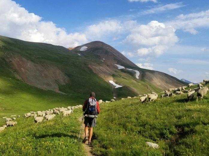 Fotor_150199564351561