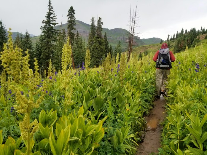 Fotor_15026369740130