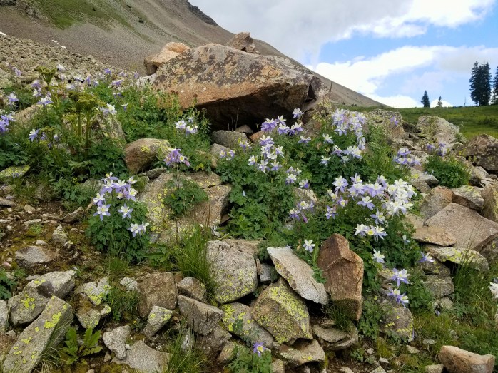 Fotor_150263758215094