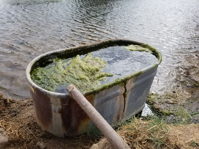 Resized_20180427_094408