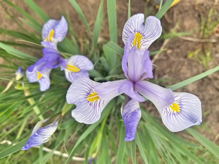 Fotor_152760072432989