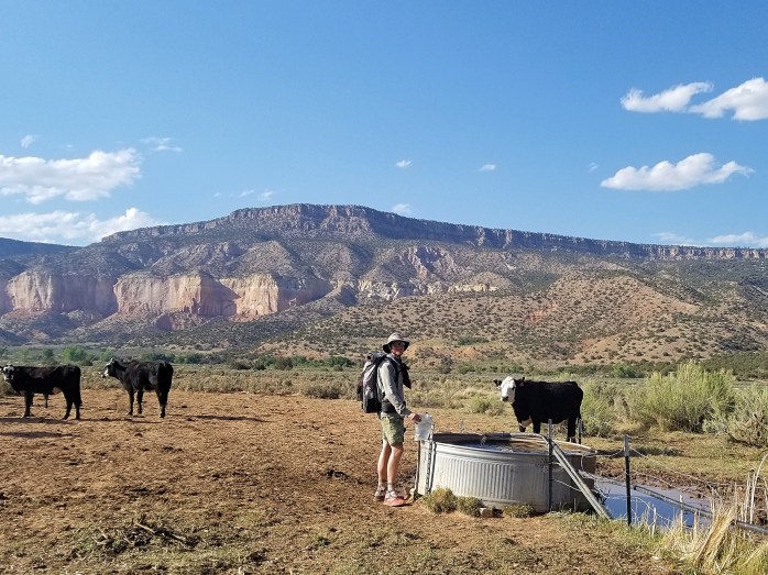 Fotor_152760138219842