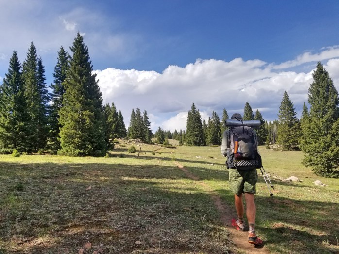 Fotor_152760256597061