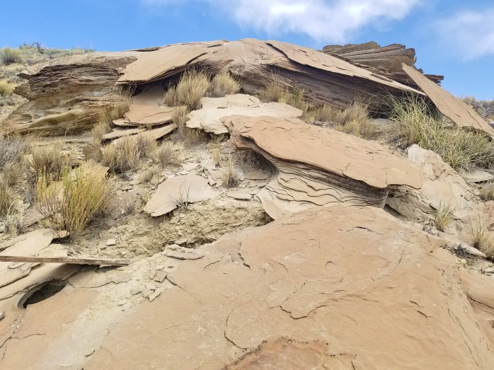 Fotor_152760390839139