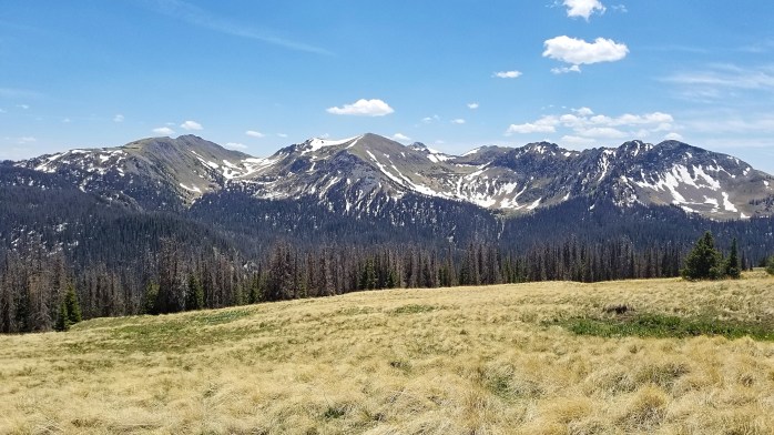 Fotor_152841280344922