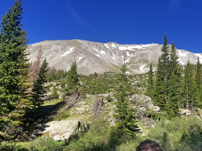 Fotor_152923719922510