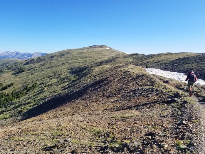 Fotor_152923900559414