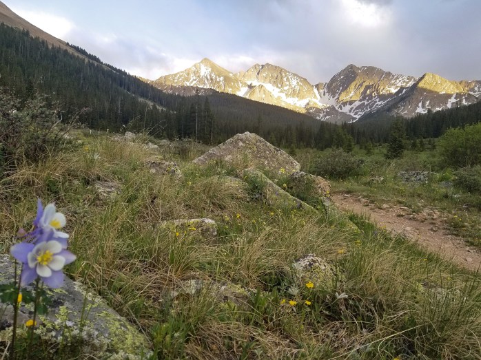 Fotor_152923968701012