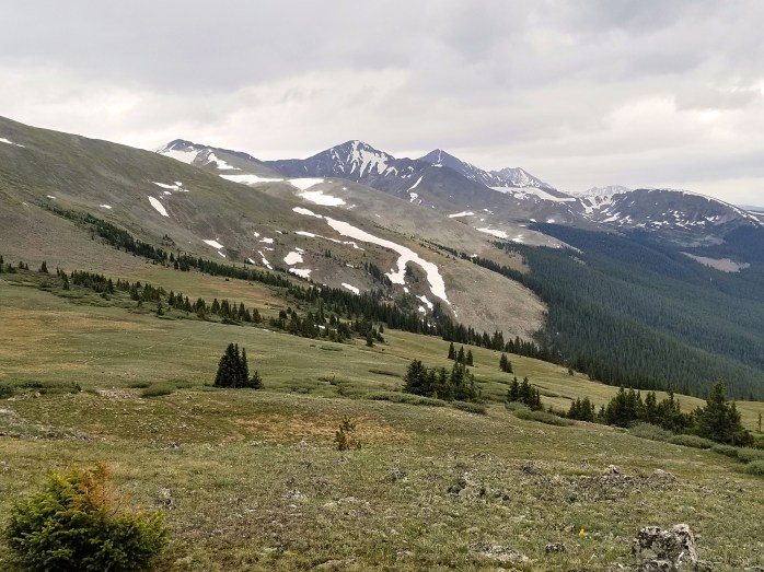 Fotor_152924034480669