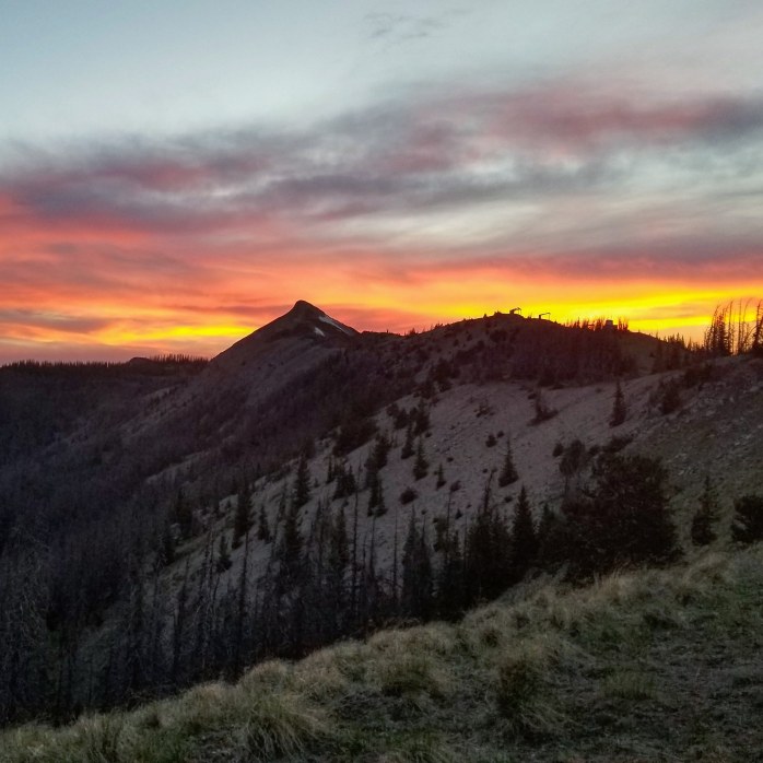 IMG_20180608_074124_157