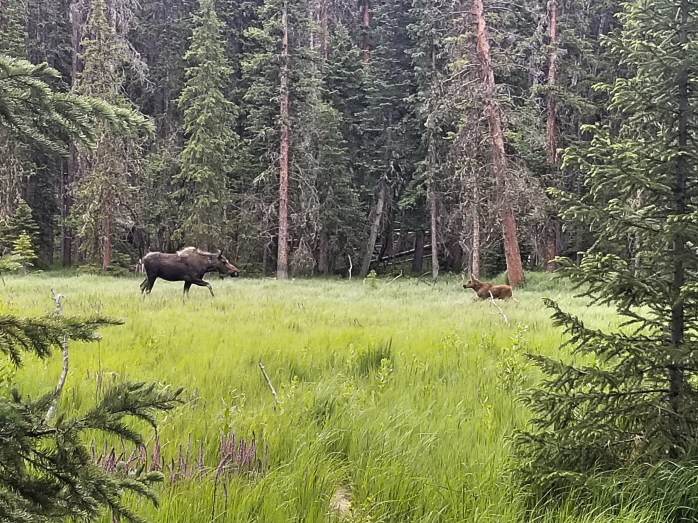 Fotor_153050680134445