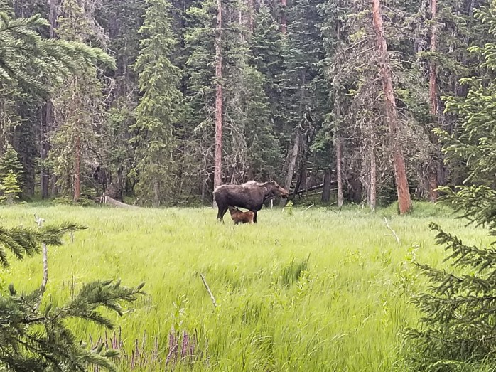 Fotor_153050858412616