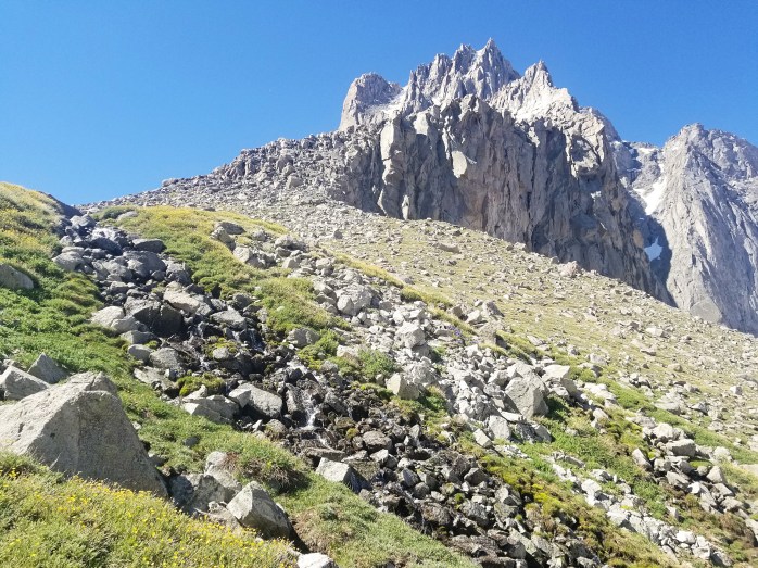 Fotor_153149978540172[1]