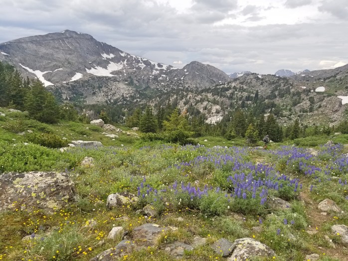 Fotor_153150032004761[1]