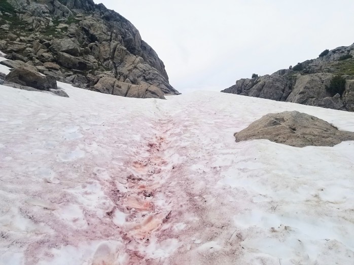 Fotor_153150041909596[1]