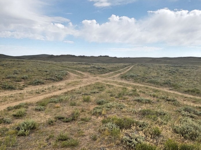 Fotor_153150286543169[1]