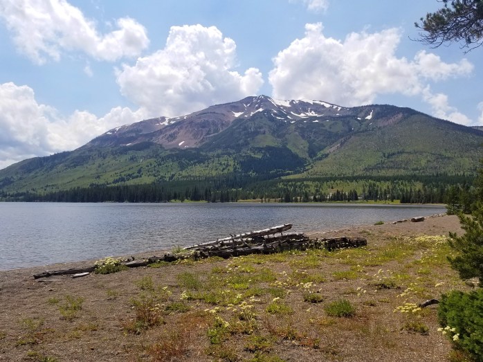 Fotor_153235256071697