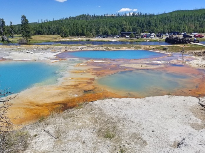 Fotor_153235411916915