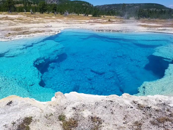 Fotor_153235436980525