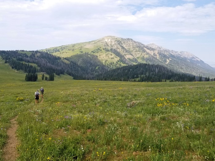 Fotor_153237207874438