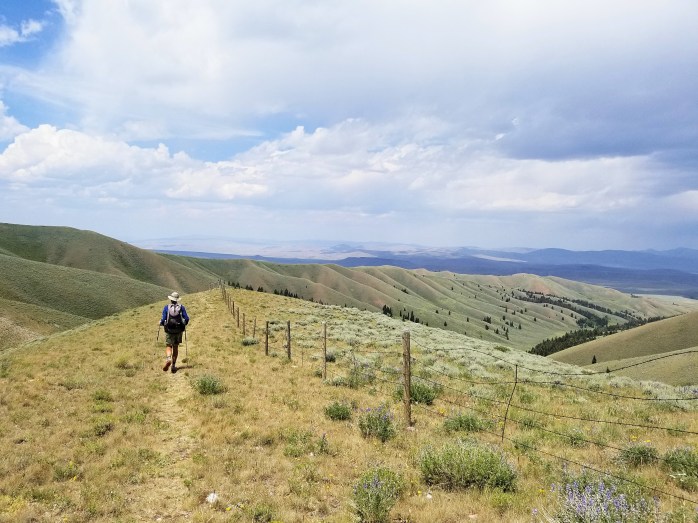 Fotor_153304169810161