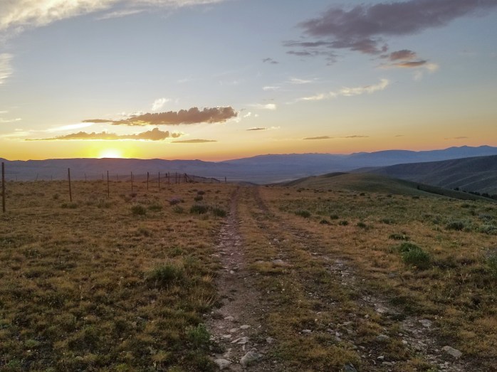 Fotor_153304274945194