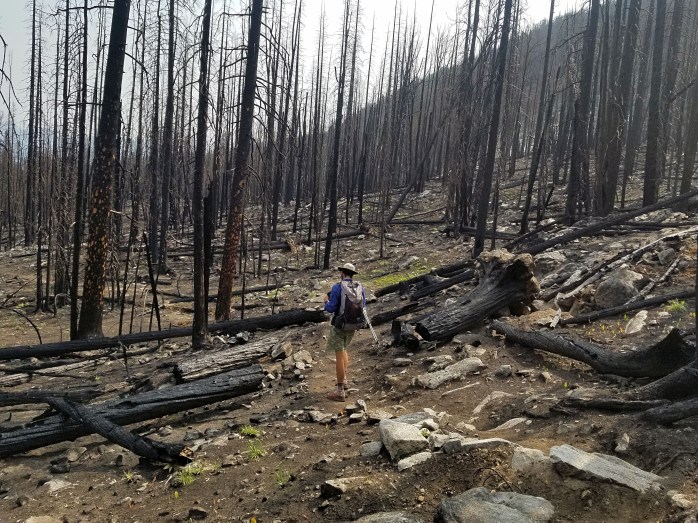 Fotor_15339560232491