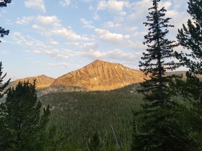 Fotor_153395619794541